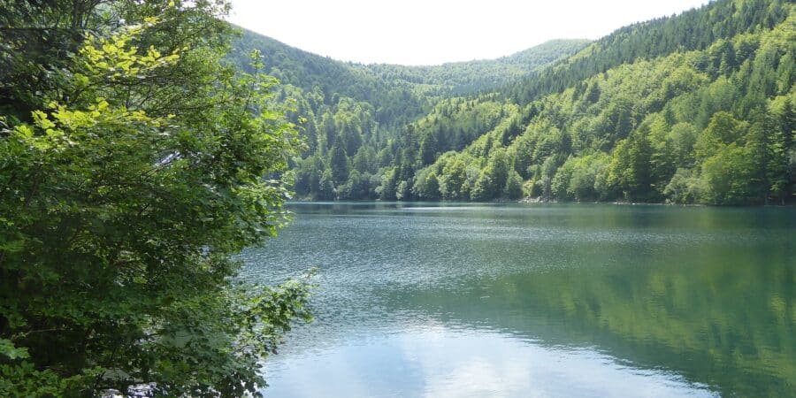 Lac de baignade en Alsace : quel est le plus beau lac d&rsquo;Alsace ?